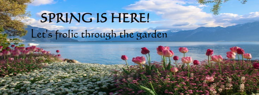 Editable Flower Photo Spring Facebook Cover | Customizable Facebook ...
